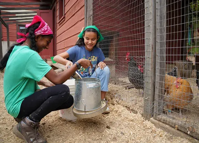 Design a care plan for an animal