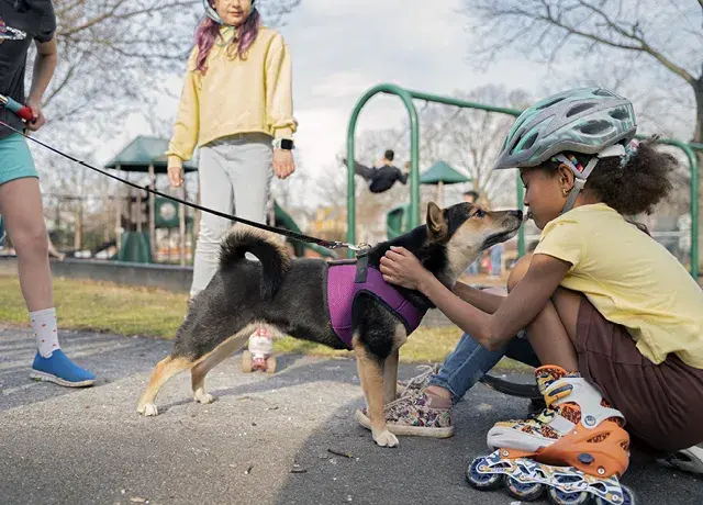 Explore animals in your community