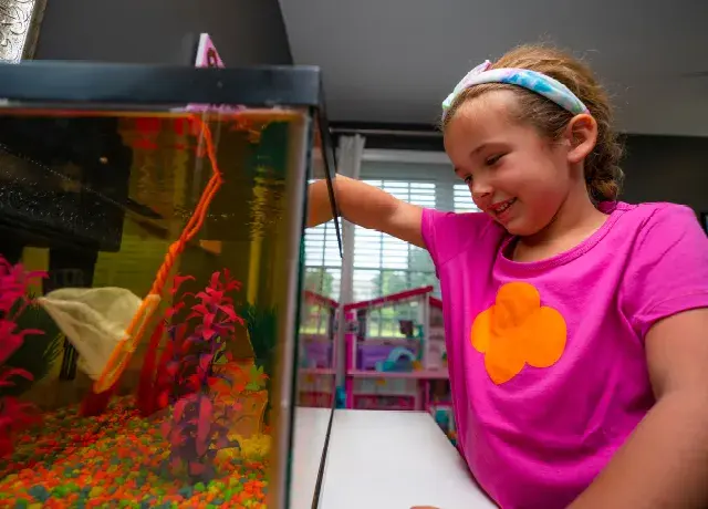 Learn how to clean an animal’s cage, tank, stall, or habitat